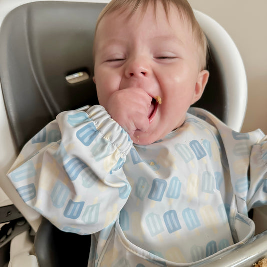 The Grayson Long Sleeve Bib - Popsicles
