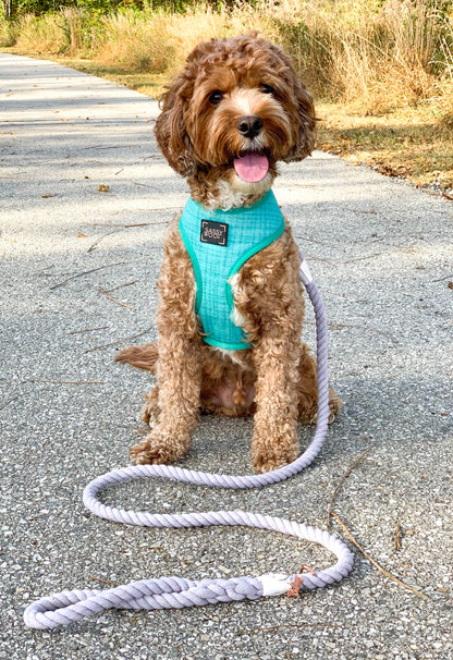 Dog Rope Leash - Serenity