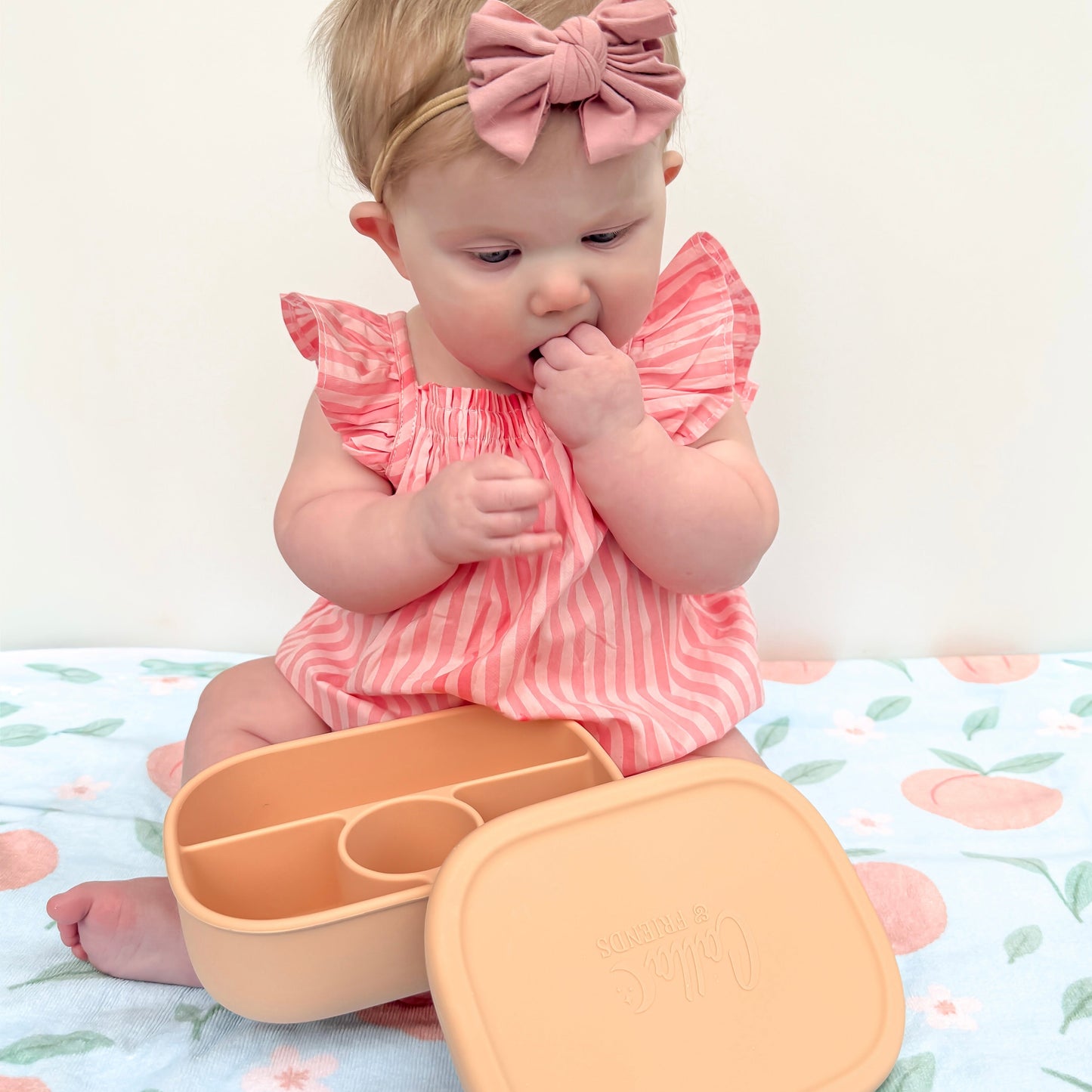 Hayden Bento Box - Peach Blossom