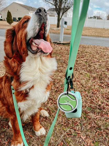 Dog Waterproof Leash - Green