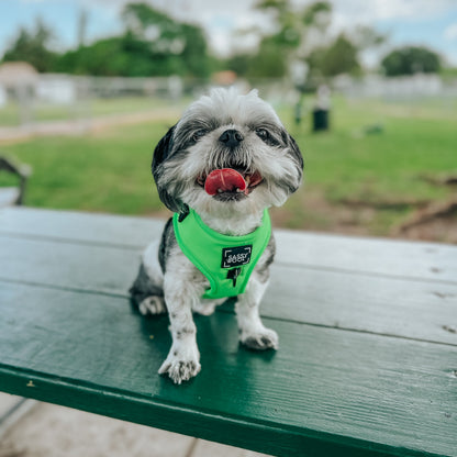 Dog Adjustable Harness - Neon Green