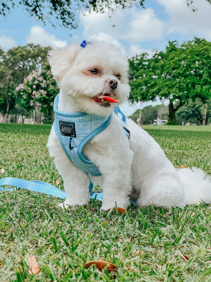 Dog Adjustable Harness - Blumond