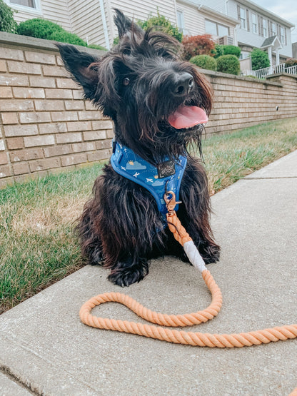 Dog Rope Leash - Clementine