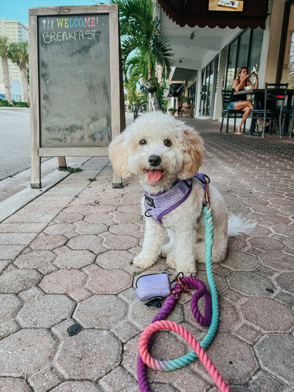 Dog Adjustable Harness - Aurora