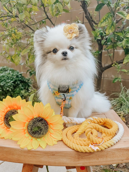 Dog Rope Leash - Lemon Drop