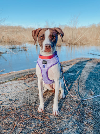 Dog Adjustable Harness - Aurora