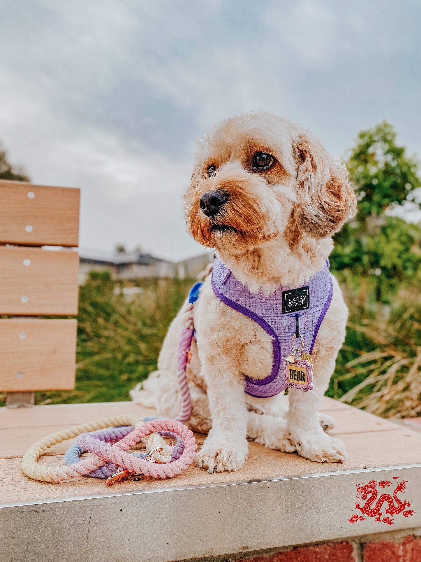 Dog Adjustable Harness - Aurora
