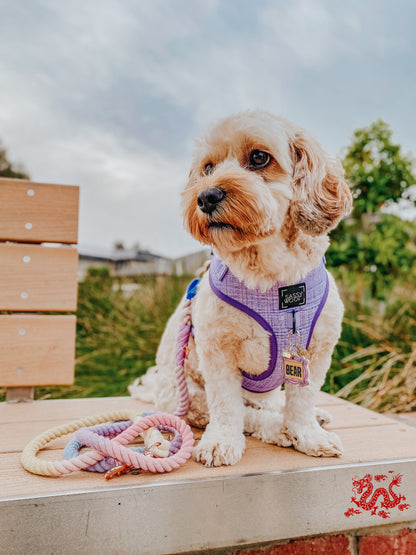 Dog Adjustable Harness - Aurora