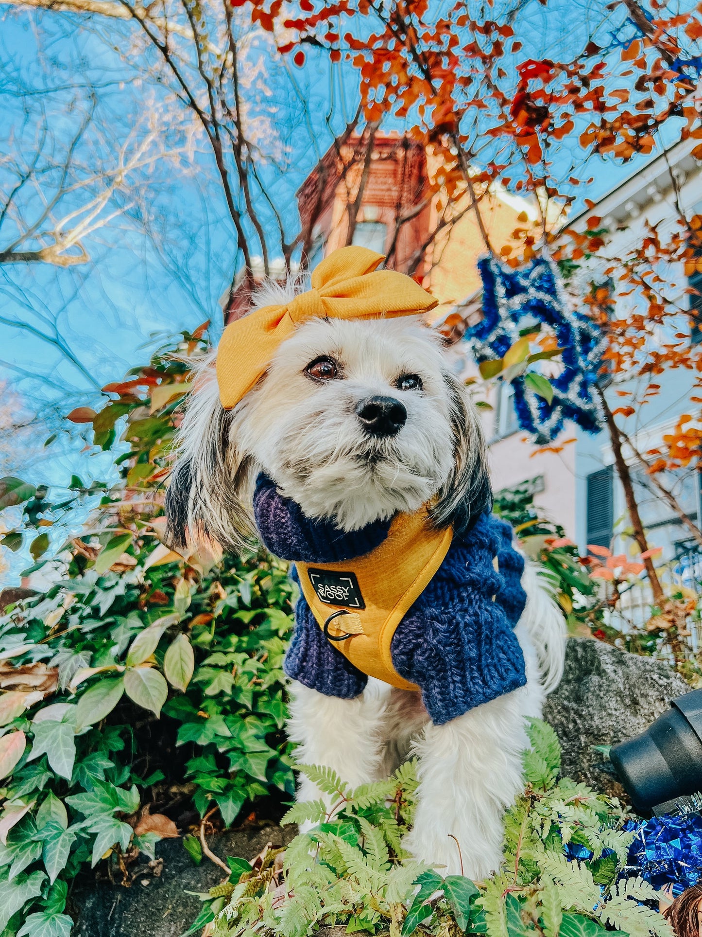 Dog Adjustable Harness - Sunflower Fields