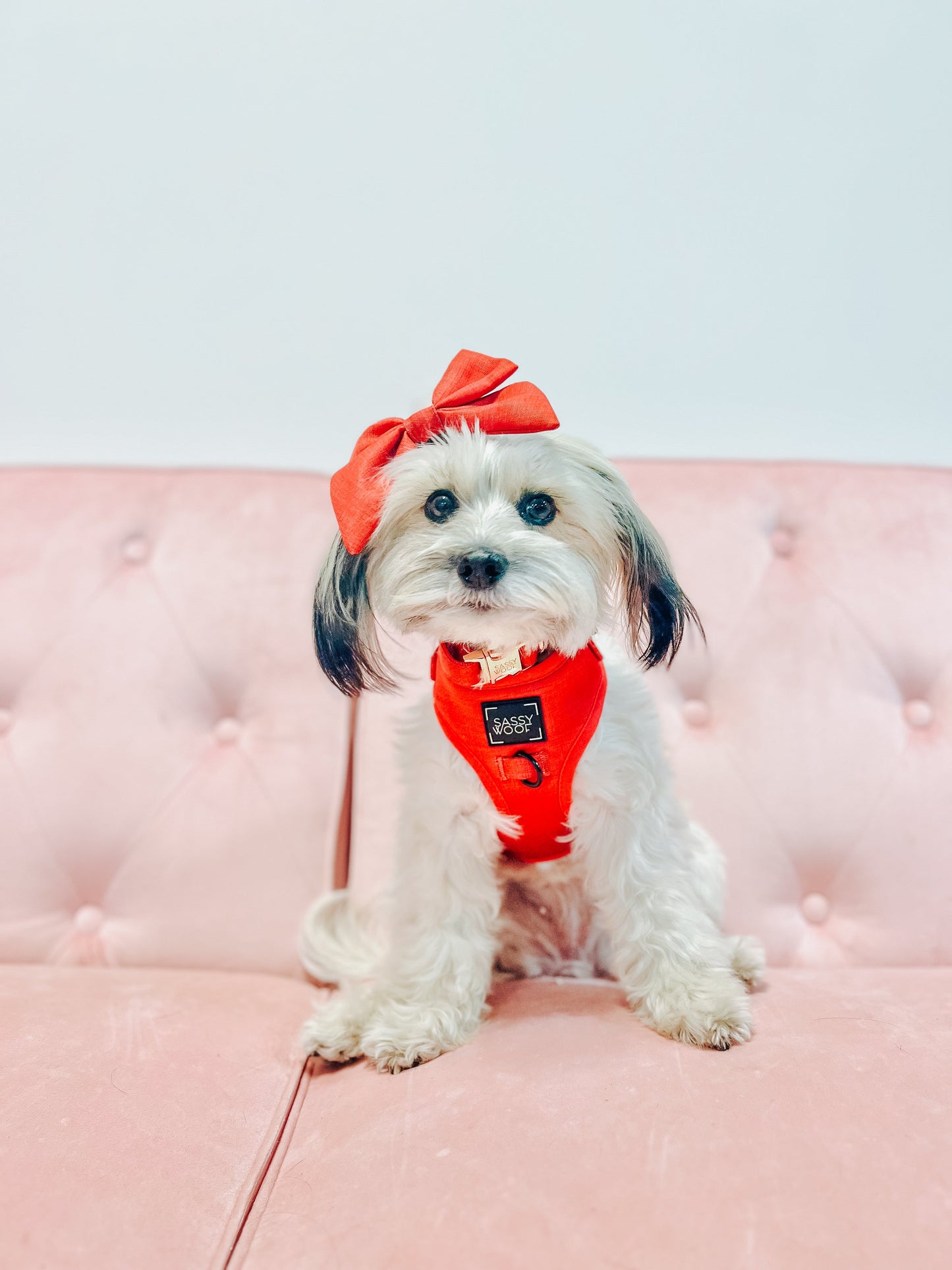 Dog Adjustable Harness - Merlot
