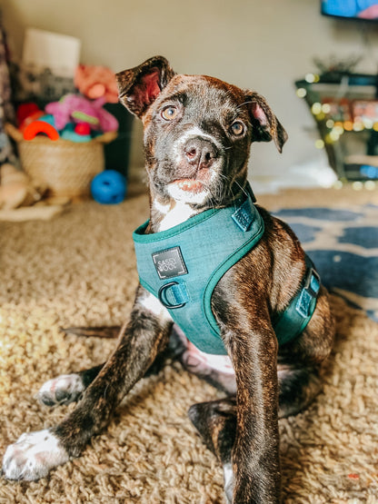 Dog Adjustable Harness - Forest
