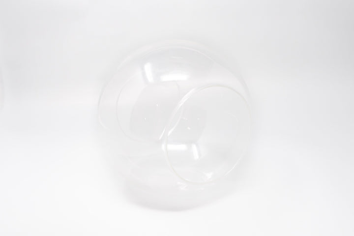 Large Hand-Blown Glass Terrarium with 2 Open Ends