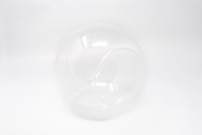 Large Hand-Blown Glass Terrarium with 3 Tillandsia Ionantha Air Plants