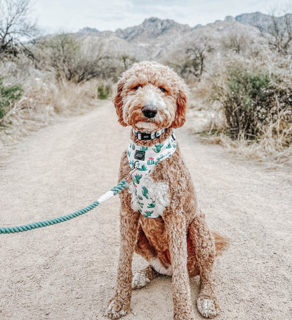 Dog Rope Leash - Amazon