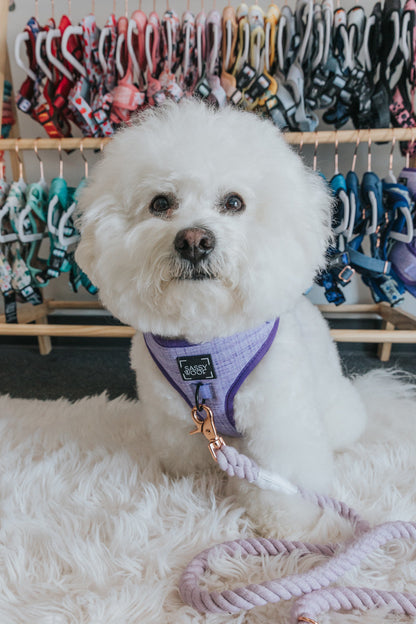 Dog Adjustable Harness - Aurora