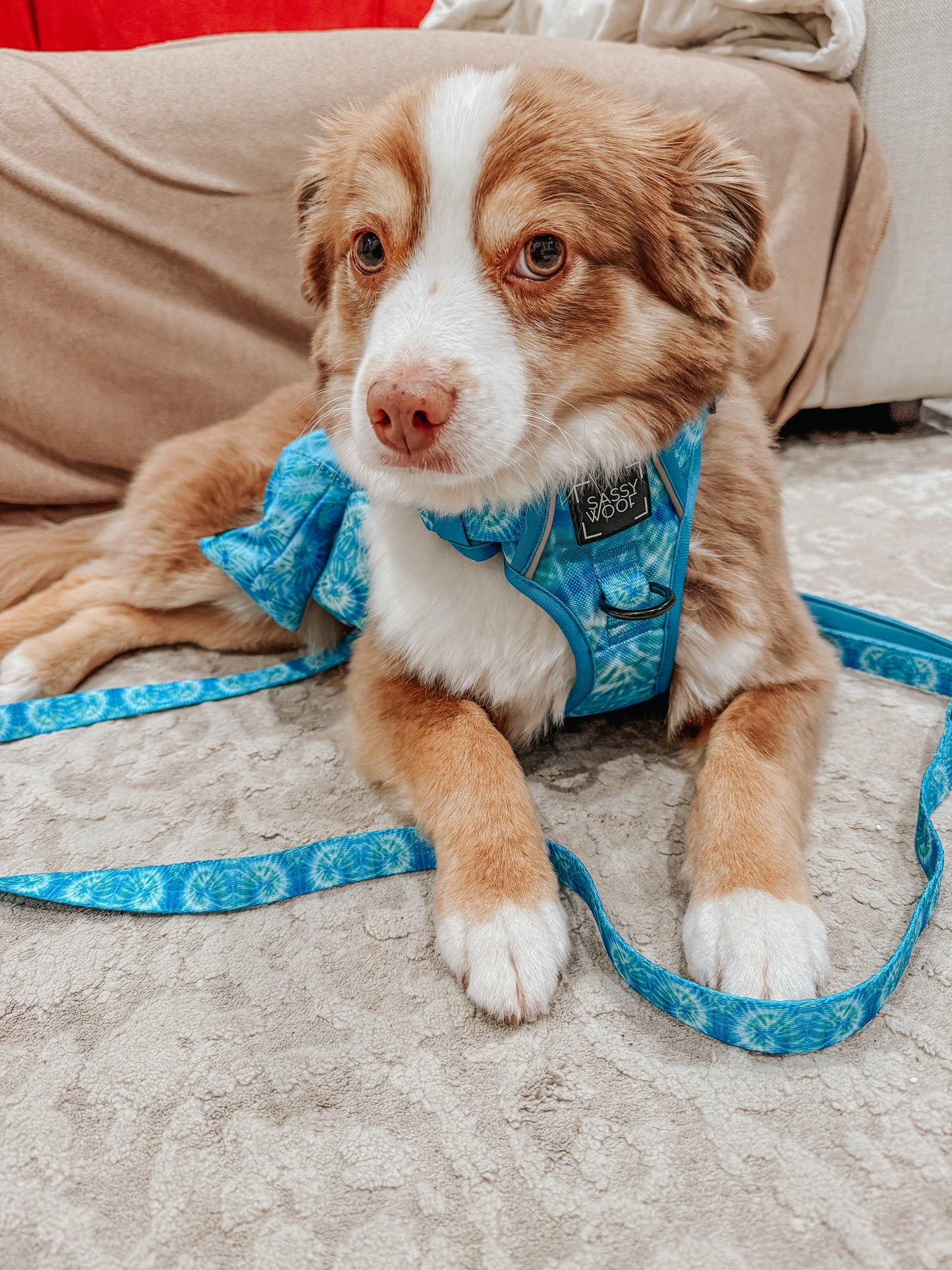 Dog Step-in Harness - Tropical Tides