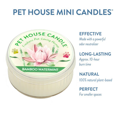 Bamboo Watermint Mini Candle