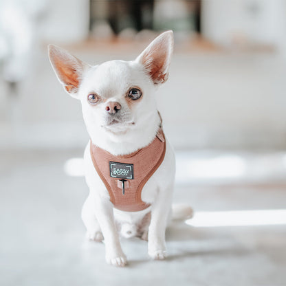 Dog Adjustable Harness - Teddy