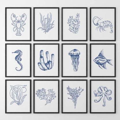 Nautical Modern Marine Life Wall Art. Navy Blue Set of 12