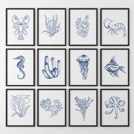 Nautical Modern Marine Life Wall Art. Navy Blue Set of 12