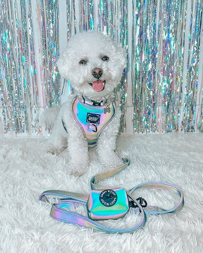 Dog Collar - Reflection