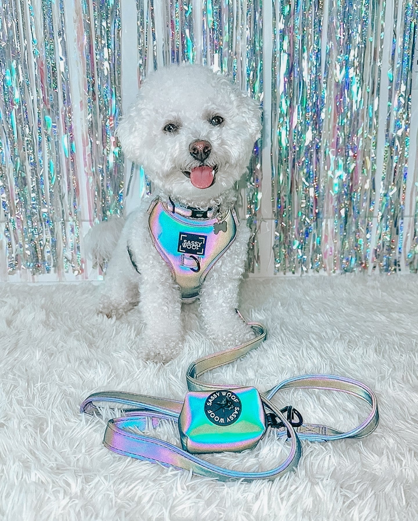 Dog Leash - Reflection
