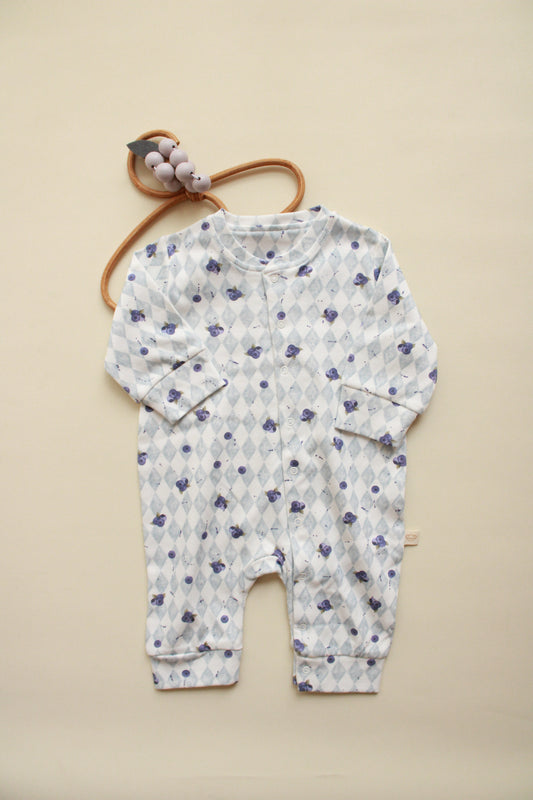 Blueberry Onesie