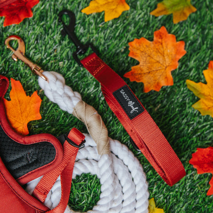 Dog Leash - Burgundy