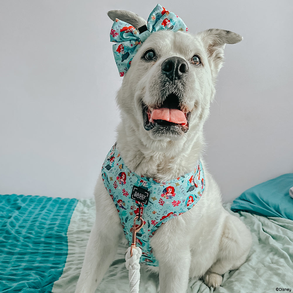 Dog Rope Leash - Disney's Ariel