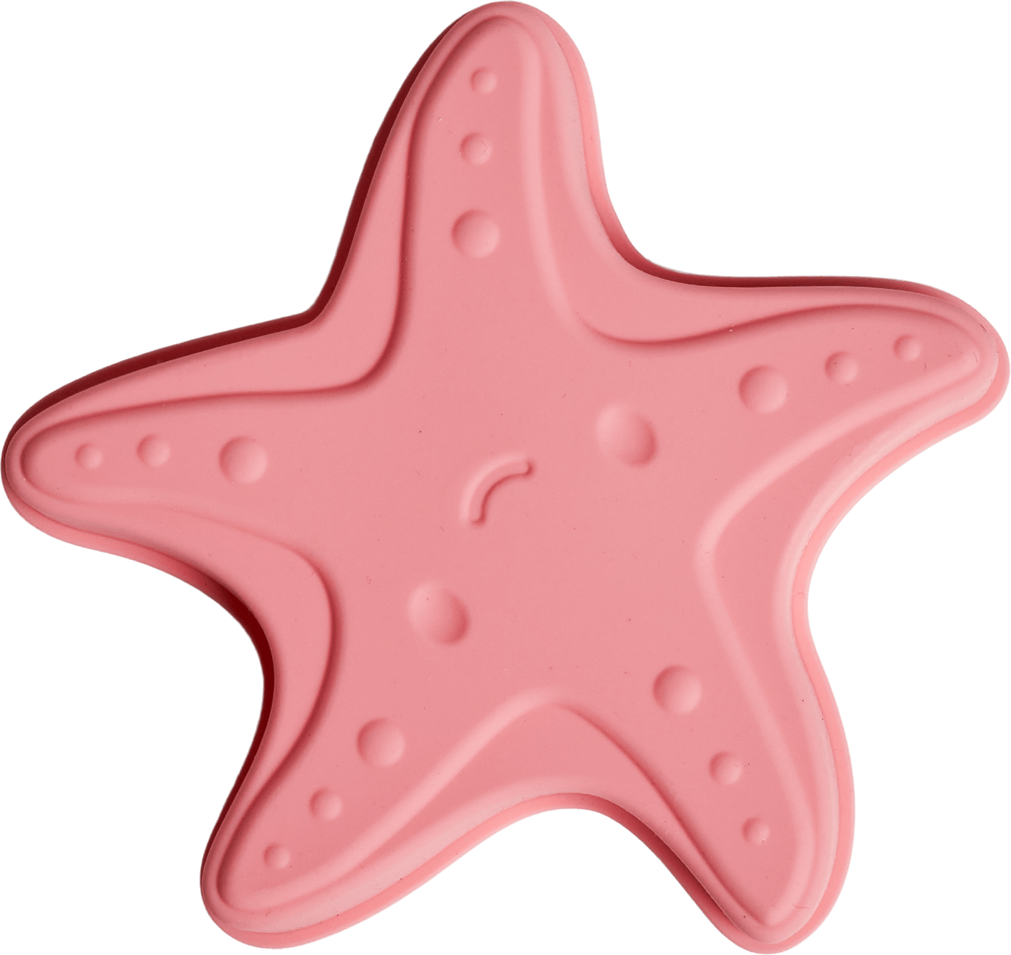 Sea Creatures Beach Toy Set