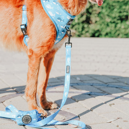 Dog Leash - Might as Whale