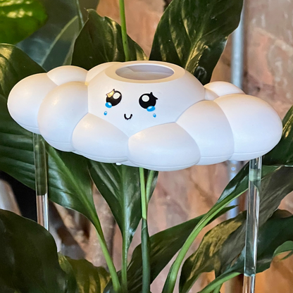 Clara The Cloud