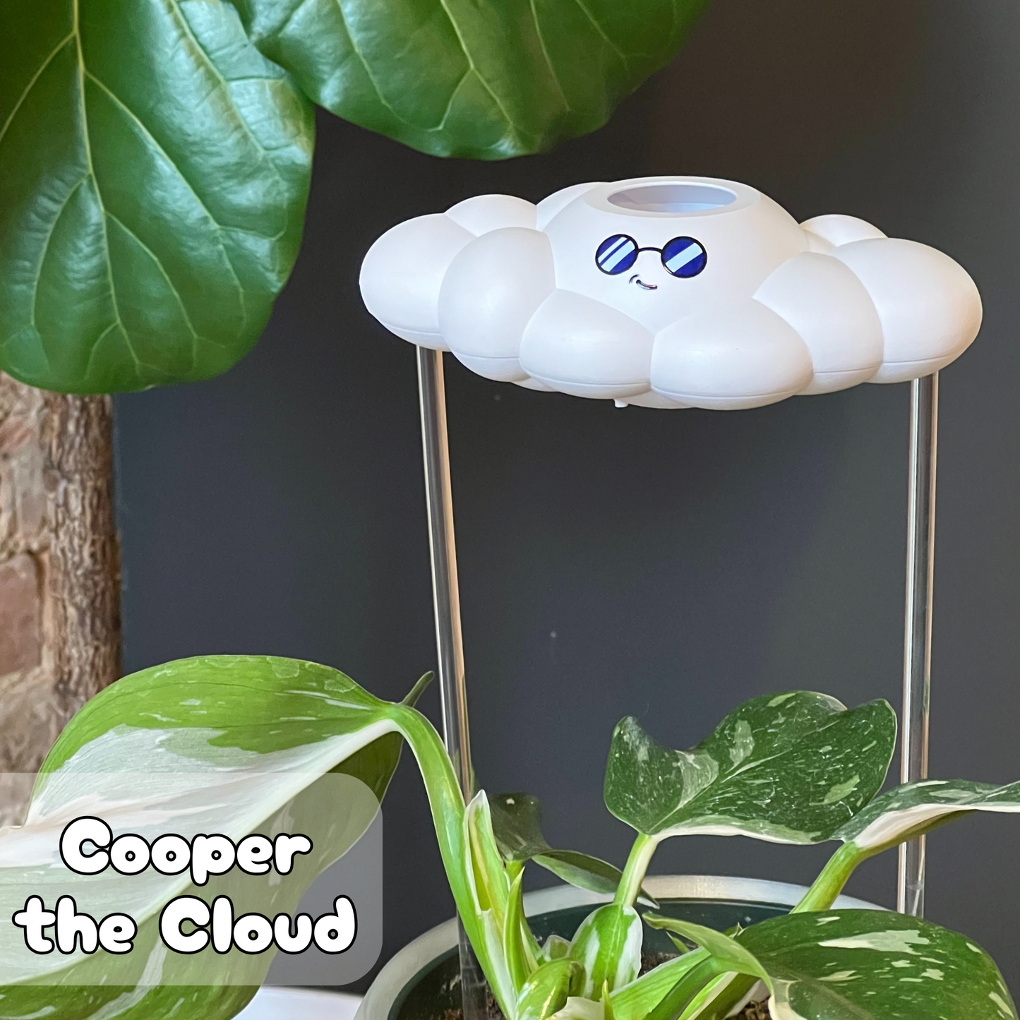 Cooper the Cloud