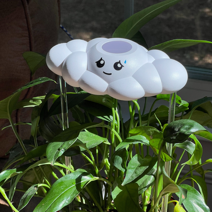 Cory the Cloud