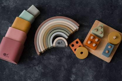 Montessori Shape Puzzle Toy | LYTL®️