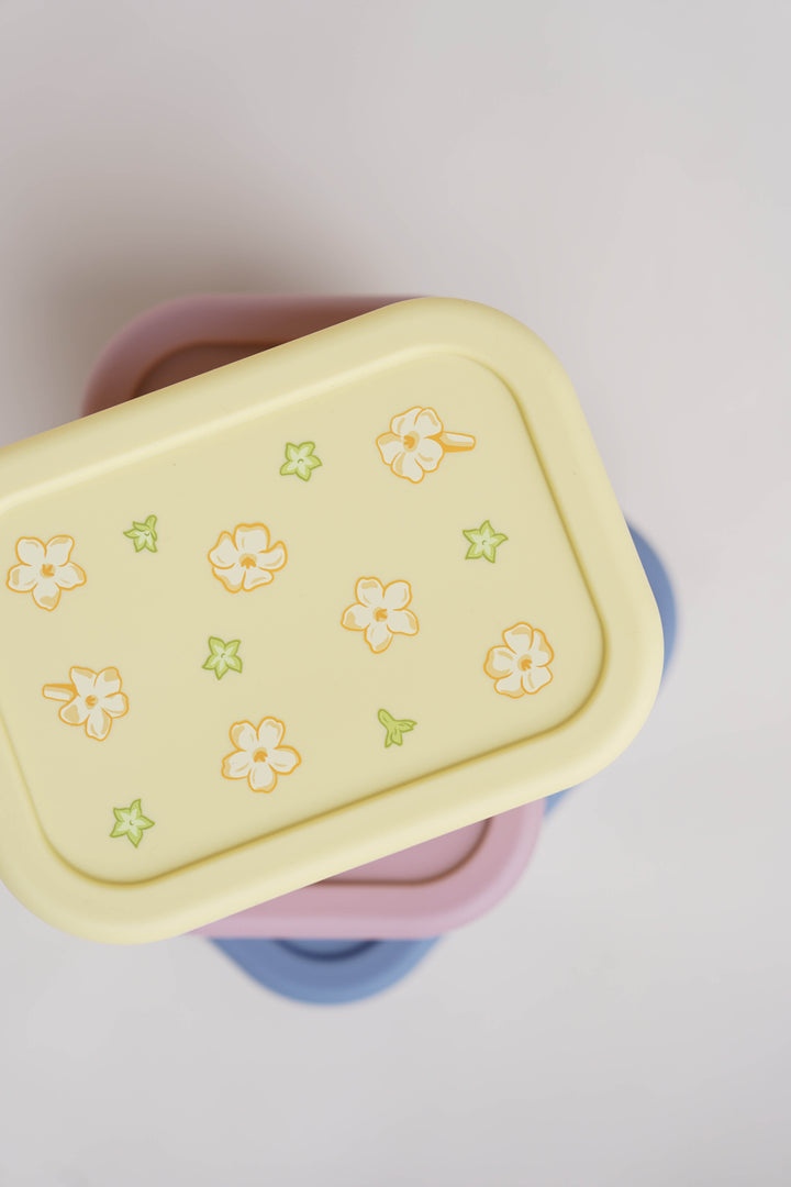 Bento Box