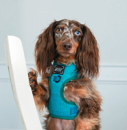 Dog Adjustable Harness - Napa