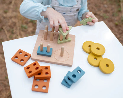 Montessori Shape Puzzle Toy | LYTL®️