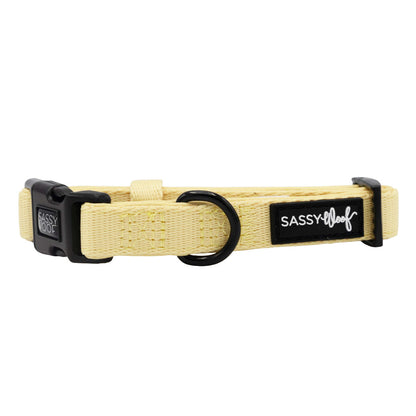 Dog Collar - Daffodil