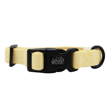 Dog Collar - Daffodil