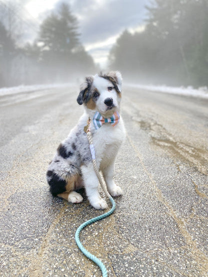 Dog Rope Leash - Dandy