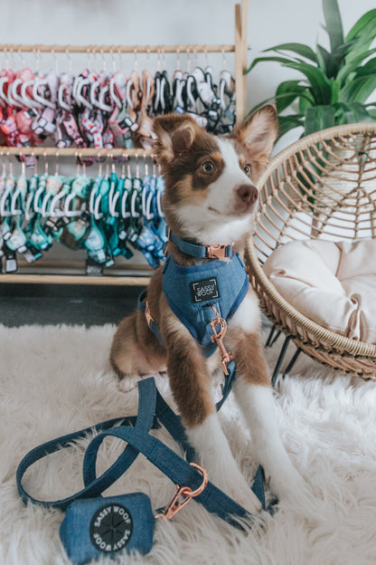 Dog Collar - Denim