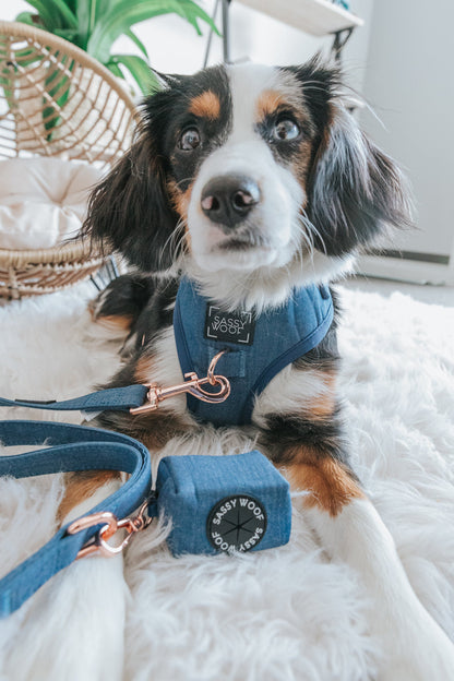 Dog Adjustable Harness - Denim