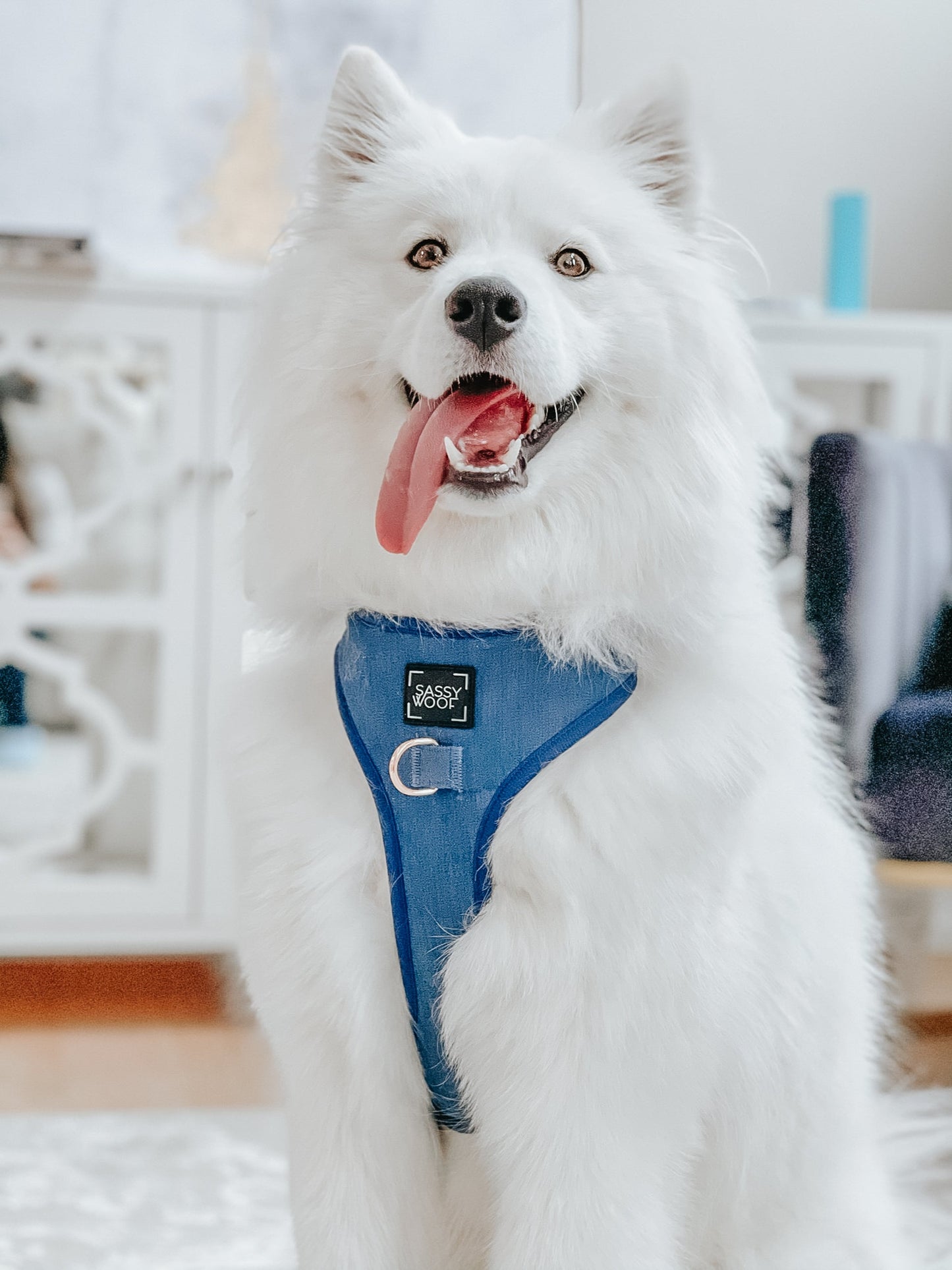Dog Adjustable Harness - Denim