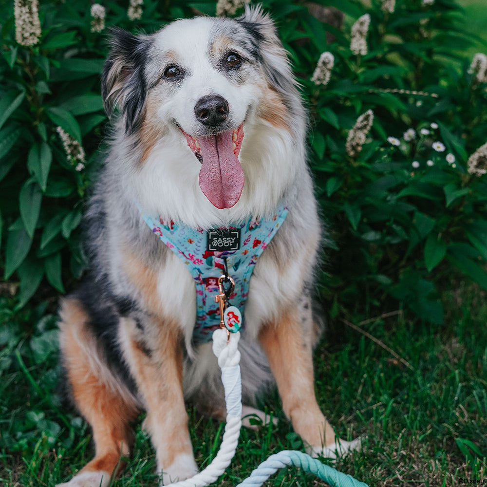 Dog Rope Leash - Disney's Ariel