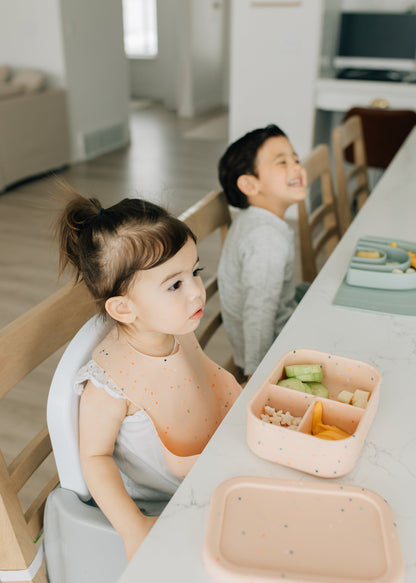 Bento Box