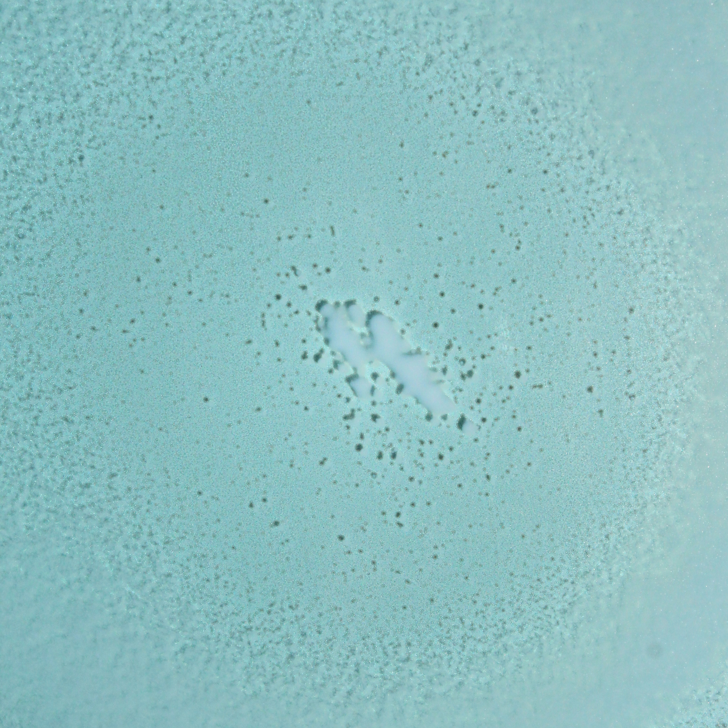 Mineral Fragrance-Free Non-Aerosol Spray