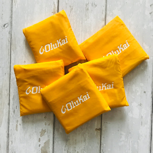 Reusable Bag