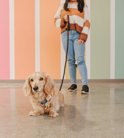 Hands Free Rope Leash - Noir