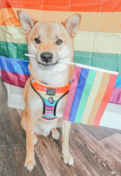 Dog Adjustable Harness - Love You Fur You
